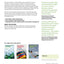 Business Analysis