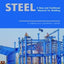 Steel - A New and Traditional Material for Building: Proceedings of the International Conference in Metal Structures 2006, 20-22 September 2006, Poiana Brasov, Romania