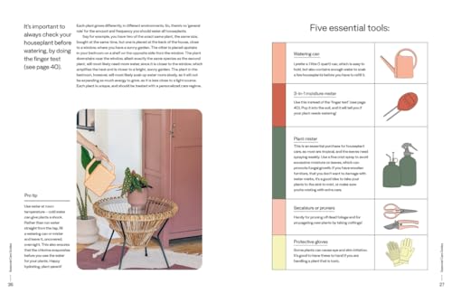 The Plant Parent Guide: Create a beautiful, plant-filled home