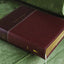 NIV, Family Bible (Keepsake Edition), Leathersoft, Burgundy, Red Letter