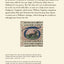 Cats in Medieval Manuscripts (British Library Medieval Guides)