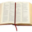 The Complete Works of William Shakespeare (Leather-bound Classics)