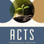 Acts: Participating Together in God’s Mission (New Testament Everyday Bible Study Series)