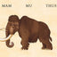 Flip-o-storic: Make Your Own Wacky Prehistoric Beast! (Mix-and-Match Board Books, 2)