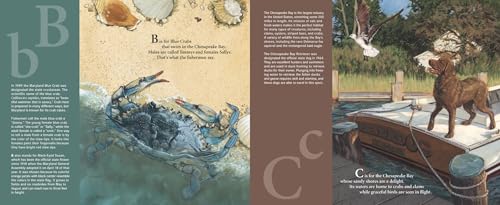 B is for Blue Crab: A Maryland Alphabet (Discover America State by State)