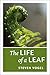 The Life of a Leaf