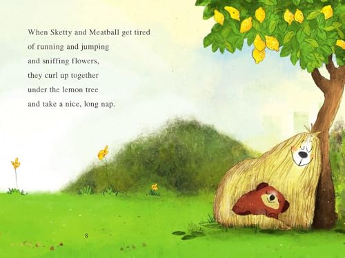 Sketty and Meatball: A Silly Best Friends Story About Doing Everything Together for Children (Ages 4-8) (I Can Read Level 1)