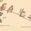 The Nest That Wren Built (Animal Habitats) by Sonenshine, Ra