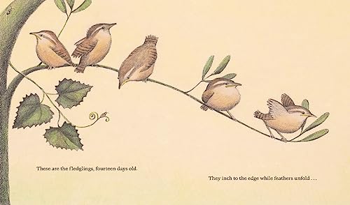 The Nest That Wren Built (Animal Habitats) by Sonenshine, Ra