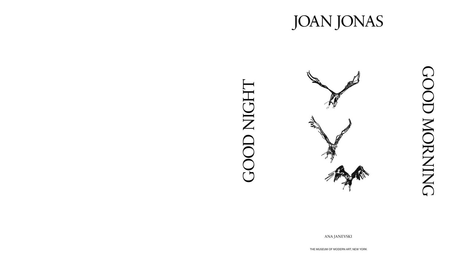 Joan Jonas: Good Night Good Morning