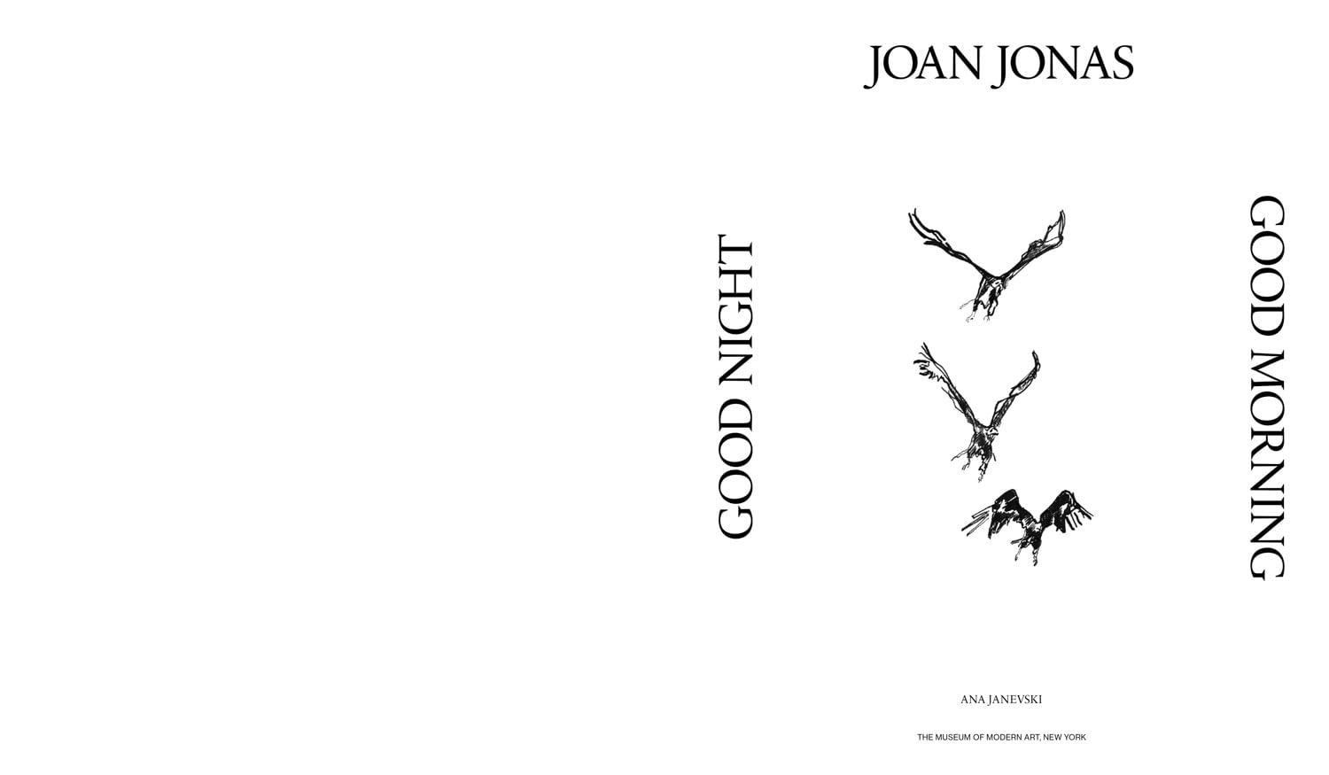 Joan Jonas: Good Night Good Morning