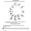 Practical Theory: Complete, Spiral-Bound Book by Feldstein