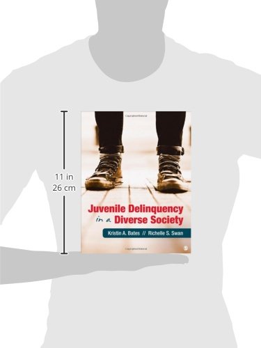 Juvenile Delinquency in a Diverse Society