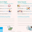 Brain Quest Workbook, Grade 2