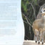 Wild Faith Devotional for Kids: 52 Amazing Animals That Point to One Great God