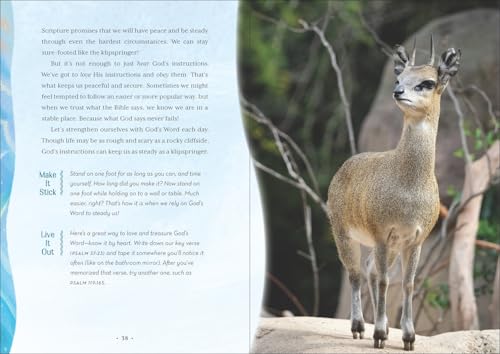 Wild Faith Devotional for Kids: 52 Amazing Animals That Point to One Great God