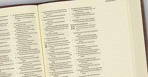 ESV Journaling Bible (Mocha, Threshold Design)