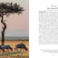 Trees (Gift Edition): Between Earth and Heaven