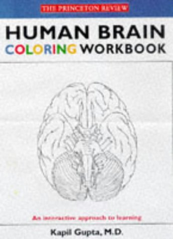 HUMAN BRAIN COLORING