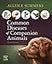 Common Diseases of Companion Animals
