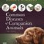 Common Diseases of Companion Animals