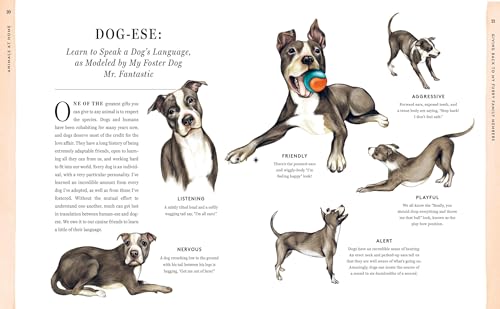 Do Unto Animals: A Friendly Guide to How Animals Live, and How We Can Make Their Lives Better