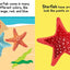 Ocean Friends - Touch and Feel Board Book - Sensory Board Bo