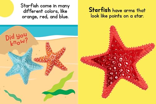Ocean Friends - Touch and Feel Board Book - Sensory Board Bo
