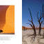 Trees (Gift Edition): Between Earth and Heaven