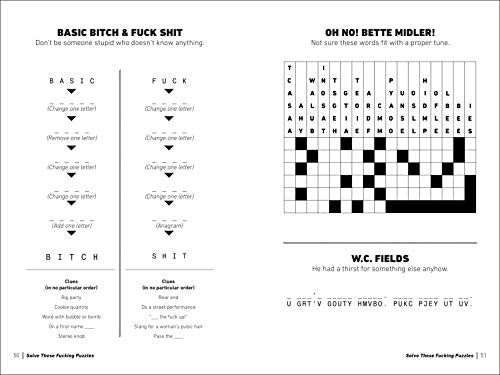 Solve These F*cking Puzzles: Delight Your Salty Gutter Brain With Hours of Badass Cryptograms, Crosswords, an