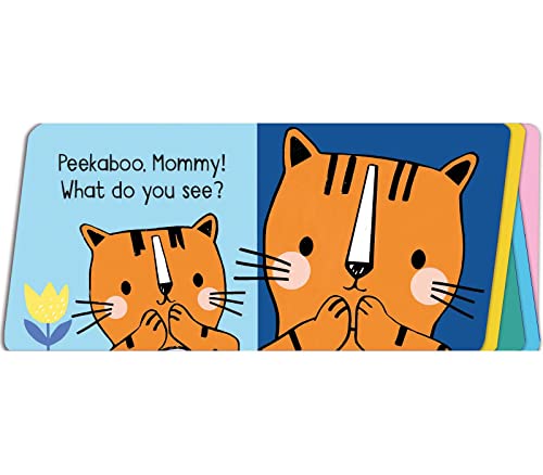 Mommy and Me (Baby's First Book)