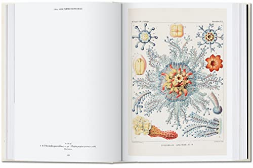 The Art and Science of Ernst Haeckel: 45th Ed. (45th Edition)