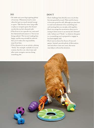 Fun & Games for a Smarter Dog: 50 Great Brain Games to Engage Your Dog (CompanionHouse Books) Teach New Behaviors Step-by-Step with Play-Based Training and Adaptations for Skill Level and Personality