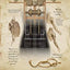 Leonardo da Vinci's Remarkable Machines