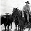 DUKE: The Official John Wayne Movie Book