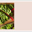 Veg in One Bed: How to Grow an Abundance of Food in One Raised Bed, Month by Month