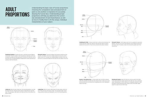 Drawing: Faces & Features: Learn to draw step by step (How to Draw & Paint)