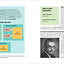 A Degree in a Book: Psychology: Everything You Need to Know
