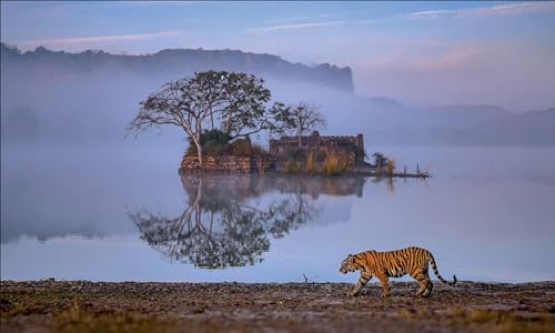 India: UNESCO World Heritage Sites