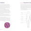 Conquer Anxiety Workbook for Teens: Find Peace from Worry, Panic, Fear, and Phobias