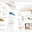 Aircraft: The Definitive Visual History (DK Definitive Transport Guides)
