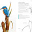A-Z of Bird Portraits: An illustrated guide to painting beautiful birds