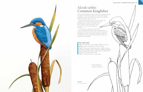A-Z of Bird Portraits: An illustrated guide to painting beautiful birds