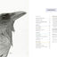 Look Closer, Draw Better: Expert Techniques for Realistic Drawing