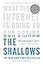 The Shallows: What the Internet Is Doing to Our Brains