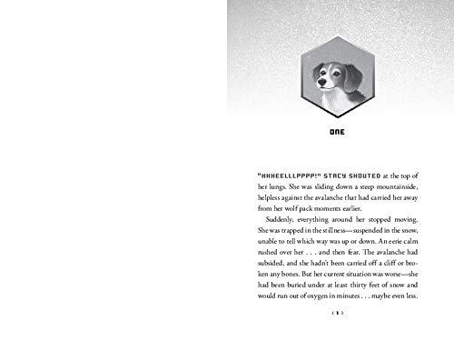 Wild Rescuers: Expedition on the Tundra (Wild Rescuers, 3)