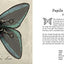 Mechanica by Balchin, Lance