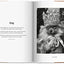 The Dog in Photography / Der Hund In Der Fotografie / Le Chien Dans La Photographie: 1839-today