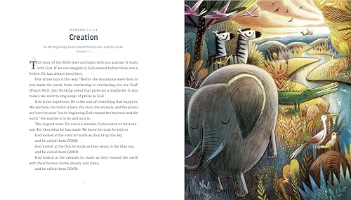 Gods Colorful Kingdom Storybook Bible: The Story of Gods Big Diverse Family