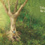 The Boy Who Grew a Forest: The True Story of Jadav Payeng